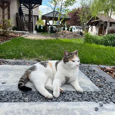 U Alicji- Гостевой дом