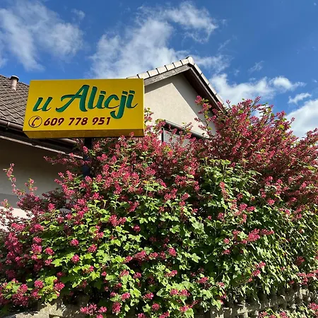 U Alicji-