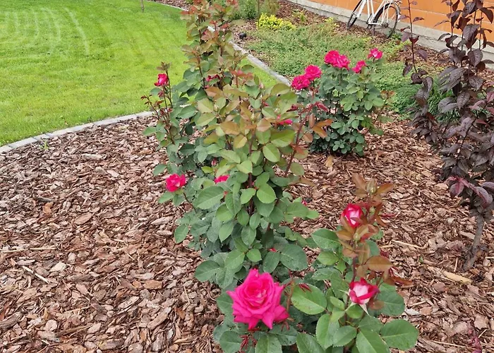 Pensjonat U Alicji- 3*