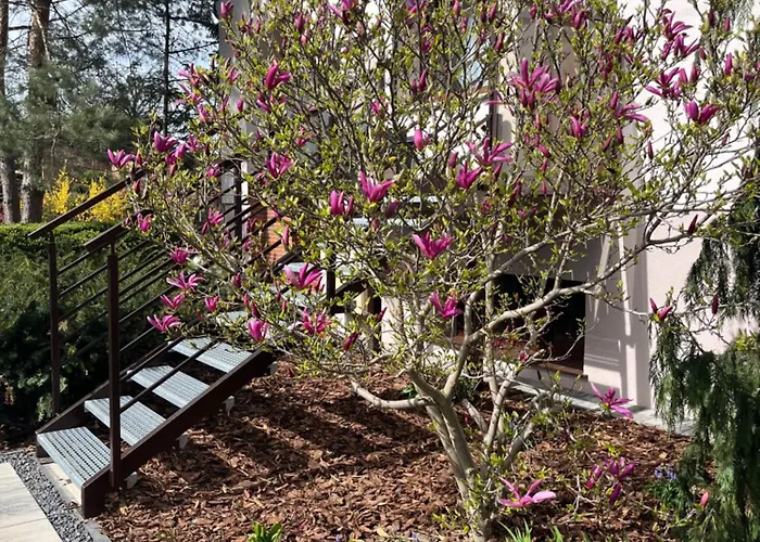 U Alicji- Pensjonat Goluchow